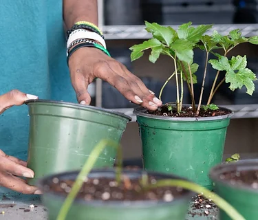 Gardening for Humans and Wildlife with Crabtree Farms