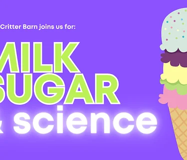 Milk, Sugar, Science: Engineering Ice Cream