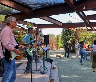 LIVE MUSIC – Tap Roots