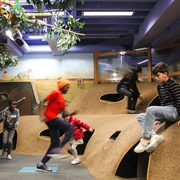 Free Wednesday Mornings at the Museum