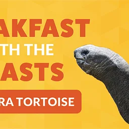 Breakfast with the Beasts: Aldabra Tortoise