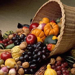 Closed for Thanksgiving Day ~ Nov. 26th