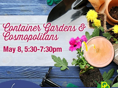 Container Gardens and Cosmopolitans