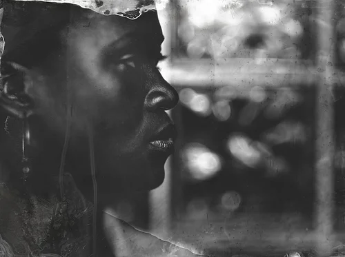 Creating Digital Negatives with Jill Enfield (Online)