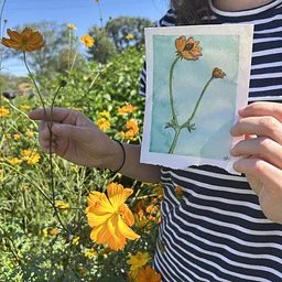Botanical Illustration Workshop