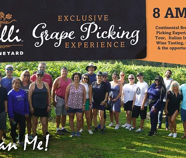 Exclusive Grape Picking Experience