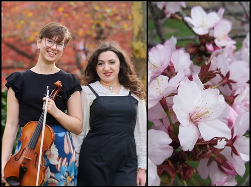 Cherry Blossoms in Bloom: Music Inspired by Nature