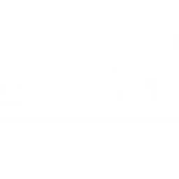 Gracie Jiu Jitsu Mesa