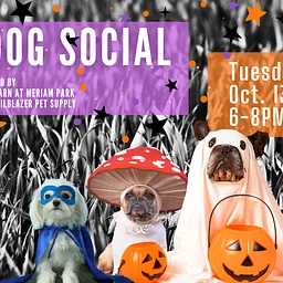Dog Social