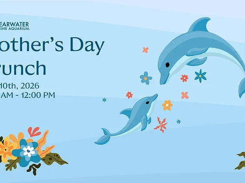 Mother’s Day Brunch