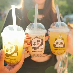 Panda Fest San Antonio