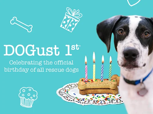 DOGust 1st®