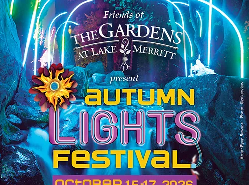 Autunm Lights Festival
