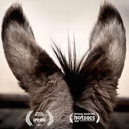 Do Donkeys Act?