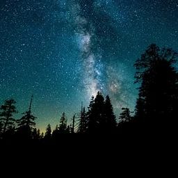 Nightwatch