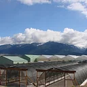 CSKT Greenhouse Tour – Ronan