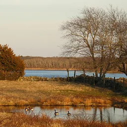 Vanishing Ecologies Nature Walk