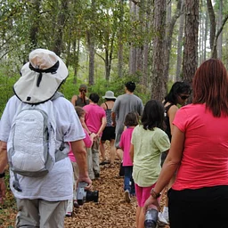 Native Tree Walk with Erin Harlow
