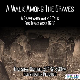 A Walk Among The Graves
