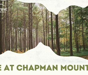 Hike at Chapman Mountain
