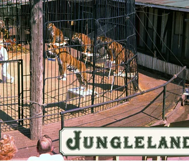 Jungleland Turns 100 - A Roaring Return