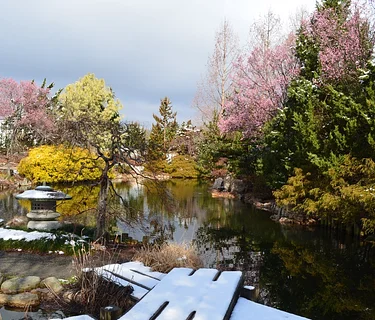 SEASONAL GARDEN TOUR: MAR 24