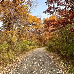 Native American Heritage Month History Walk