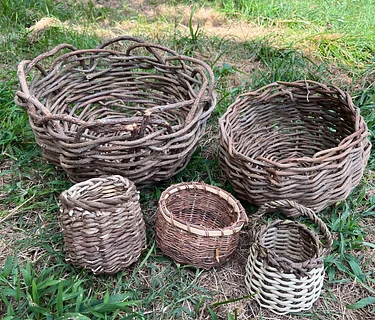 Weave Kudzu Vines Into a Basket (full)