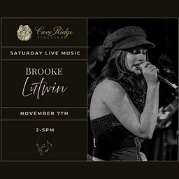 Saturday Live Music- Brooke Lutwin