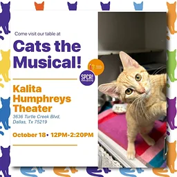 Cats the Musical & SPCA of Texas Info Table