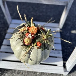 Heirloom Pumpkin with Succulents & Dried Flowers Workshop