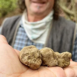 Barolo & Truffles