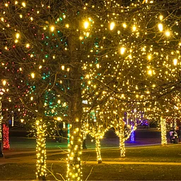 Longmont Lights Holiday Festival