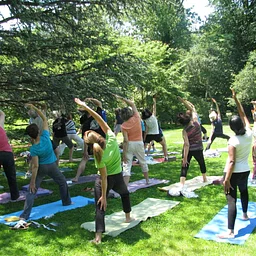 Yoga in the Gardens