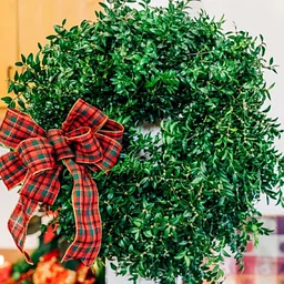Mixed Green Christmas Wreath Workshops