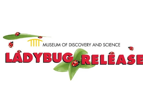 Ladybug Release