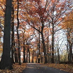 REACH Nature Navigators