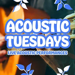 Acoustic Tuesday: Venice Beach Live Music Every Tuesday Night