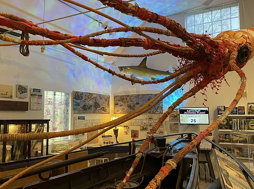 The Whaling Museum presents Robert & Roberta Appreciation Month