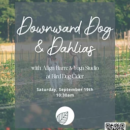 Downward Dog & Dahlias