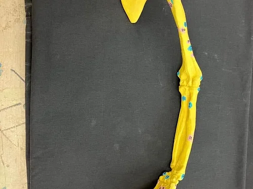 Class #143: Learn Portrait Artistic Anatomy through Quick-Sketch Drawing with Tor Muehl