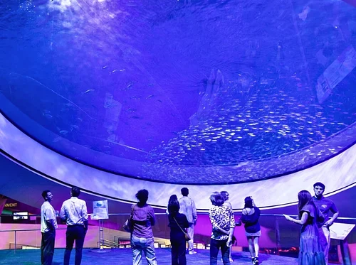 nightLAB: Forces of Nature