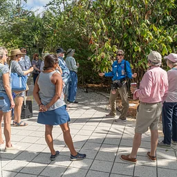 Daily Tours