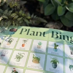 Plant Bingo by Houseplanted