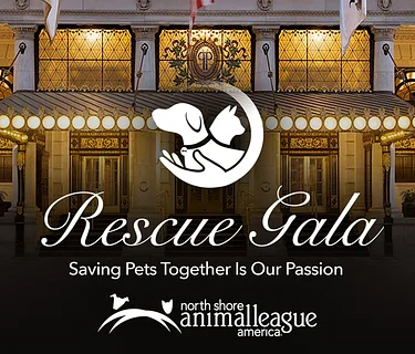 RSVP Today for Our 2026 Rescue Gala