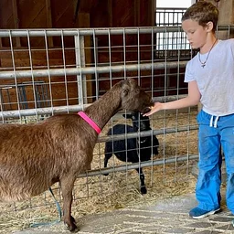Farmyard Helper