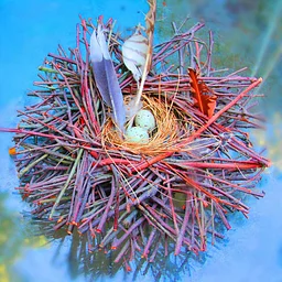 Artist Member Lisa Stancati featured in The Long Island Public Arts Festival (LIPAF)
