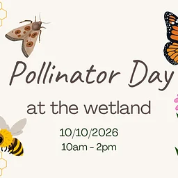 Pollinator Day at the Wetland