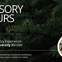 Sensory Hours | Pine Trees, Biodiversity Cart