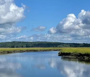 Scarborough Marsh Clean-Up